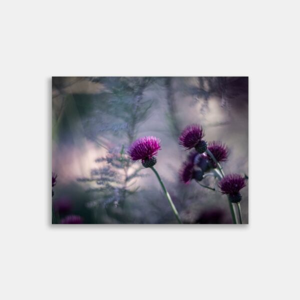 Florale dybder – Brian Haar